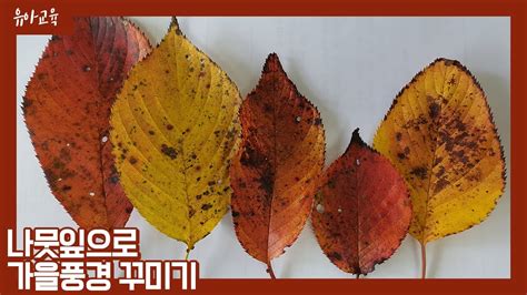 사진속의 나뭇잎색을 짙게하는 무료프로그램